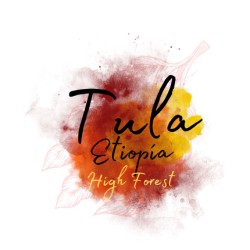 La Rendición Etiopía Zinabu Tula Natural250g